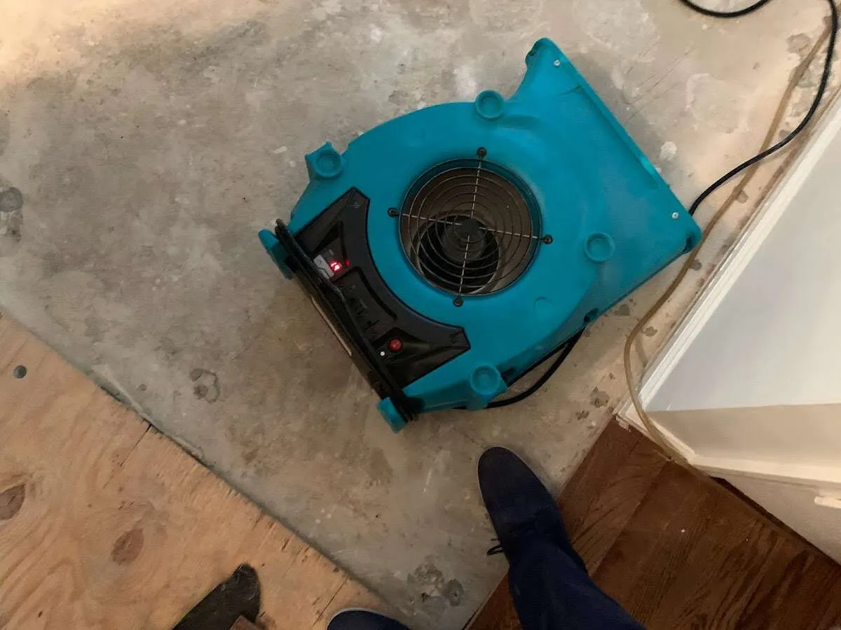 Air mover drying subfloor during Leak Detection & Repair in Farragut